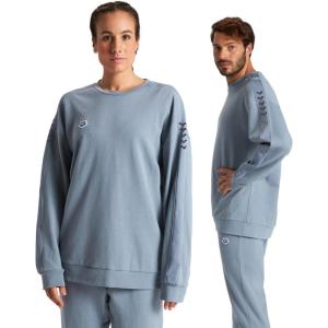 ARENA unisex-adult Unisex Icons Team Oversize Sweatshirt(Stone Gray-stone Gray-iridesce)