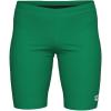 imageArena Boys Arena Feel Boys Dynamo Swim Jammers for Swimming Athletic Knee LengthIrish Green
